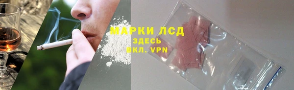 гашик Надым