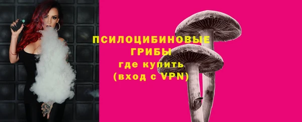 гашик Надым