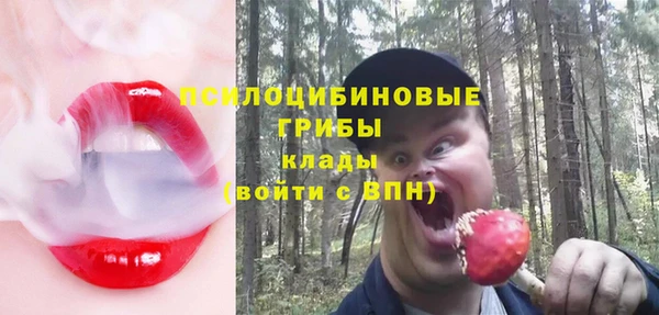 гашик Надым