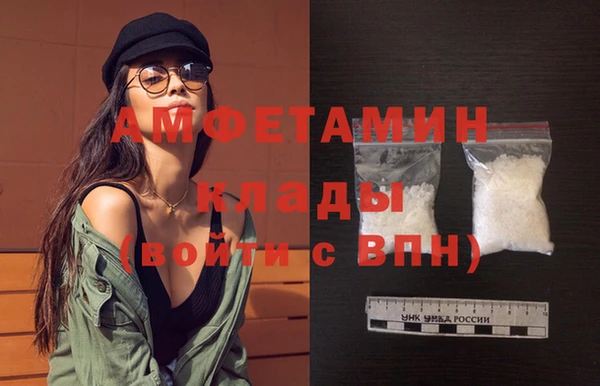 мдпв Михайлов