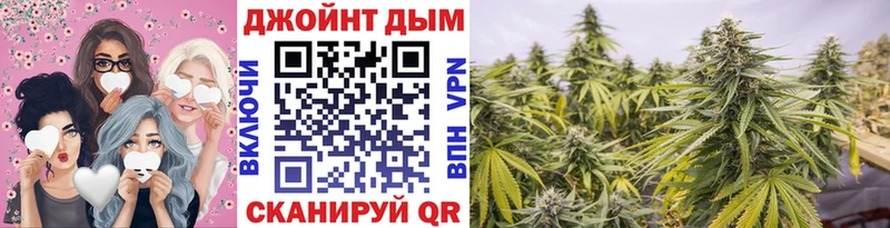 Бошки Шишки ГИДРОПОН  Починок 